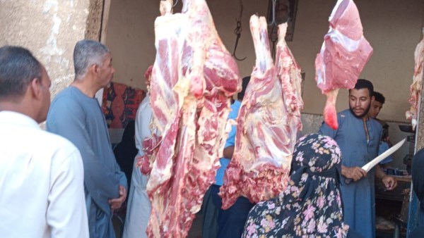 حملات تموينية بقنا