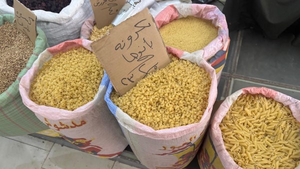 معرض اليوم الواحد