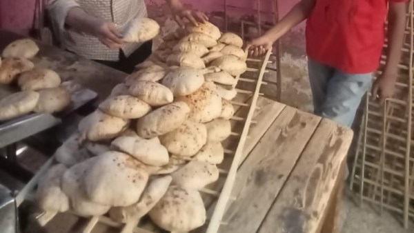 حملة تموين قنا 