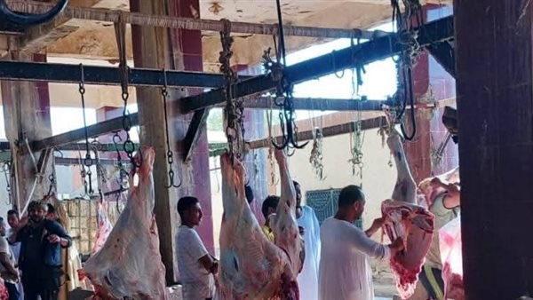 محافظ أسوان: ممنوع نحر الأضاحى بالشوارع