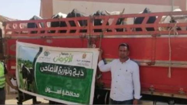 جهود محافظة اسوان
