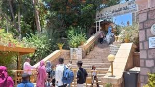 الحديقة النباتية بأسوان 