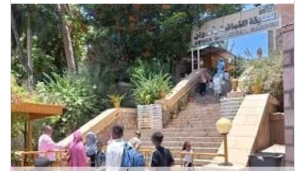 جهود محافظة اسوان 