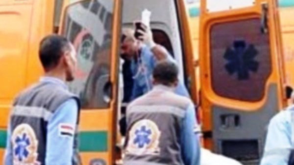 جهود محافظة اسوان