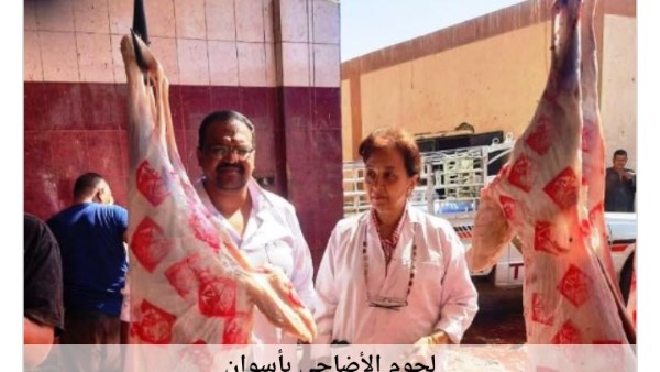 أسوان فى 24 ساعة.. تصفية عناصر إجرامية وحملات كبيرة لإزالة التعديات