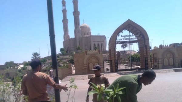 جهود محافظة اسوان 