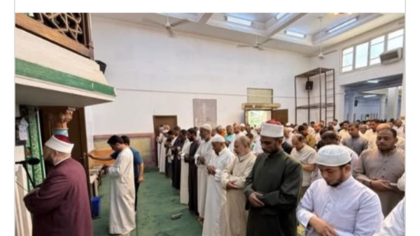 جهود محافظة اسوان 