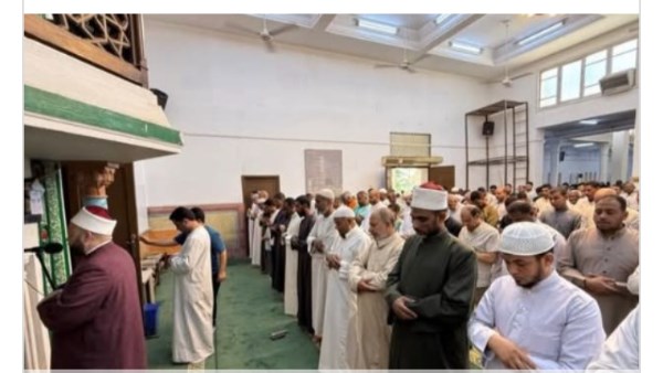 جهود محافظة اسوان 