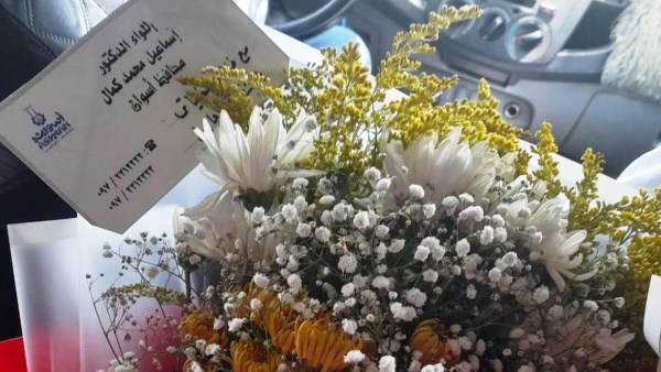 جهود محافظة اسوان