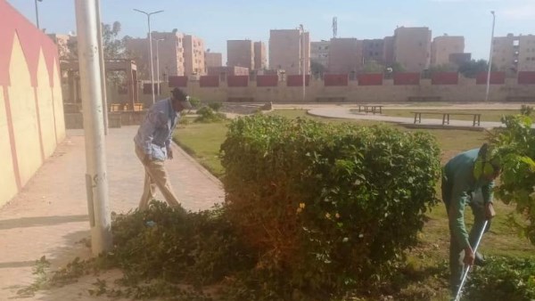 جهود وأنشطة المحليات بأسوان