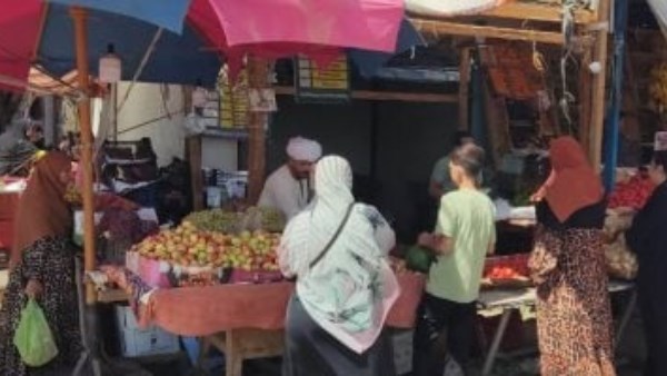 اسواق  الوادي الجديد 
