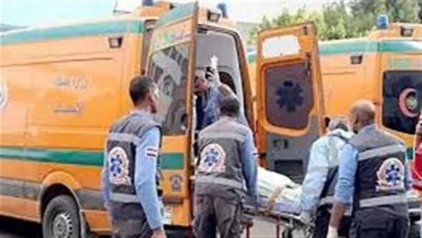 تسمم طفلين شقيقين تناولا شاورما فاسدة بالوادي الجديد