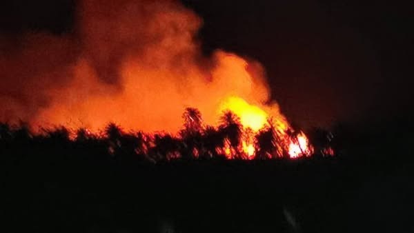 حريق سيوة 