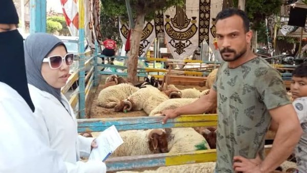 بورسعيد | حملة موسعة للتفتيش على الأسواق ومنافذ بيع الحيوانات والدواجن والأسماك