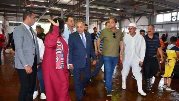 محافظ بورسعيد يهدى الجامعة عجل أضحية 