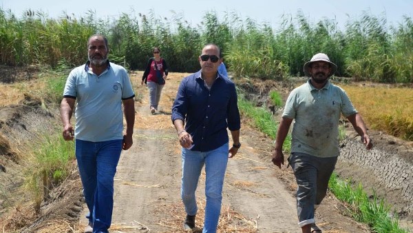 رئيس مدينة بورفؤاد : ارتفاع نسبة استصلاح الأراضي لتصبح 24 ألف فدان بمنطقة سهل الطينة