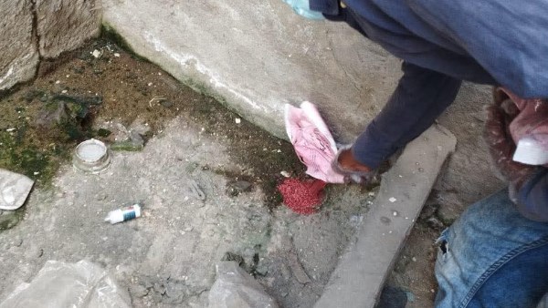 رئيس مدينة بورفؤاد : تكثيف مكافحة الحشرات  بمساكن الاسكان والتعمير