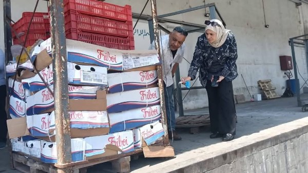 تموين دمياط 