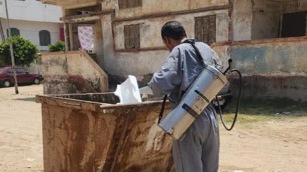 مكافحة نواقل الأمراض في مدينة رأس البر لحماية الصحة العامة
