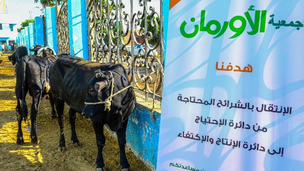 لدعم الأكثر احتياجا.. تضامن الغربية تعلن خطة توزيع لحوم الأضاحي بـ60 قرية