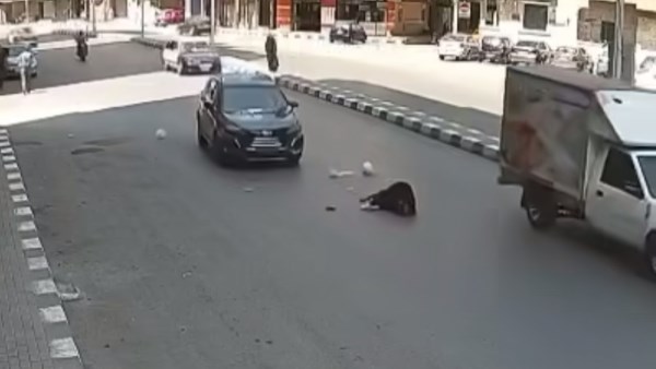 دهس فتاة بالغربية 