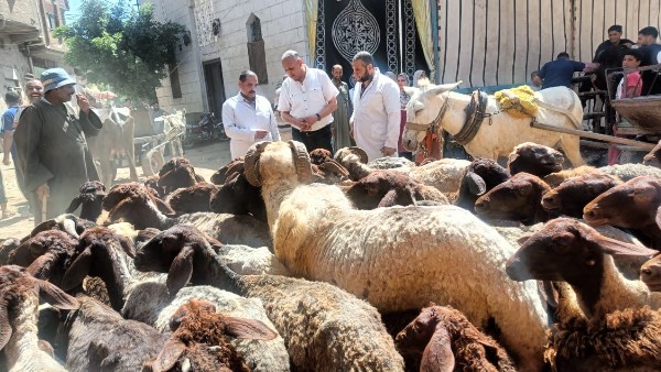 قوافل بيطرية بالغربية 
