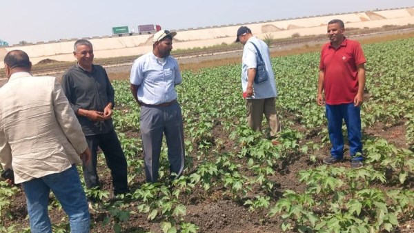 زراعة الشرقية