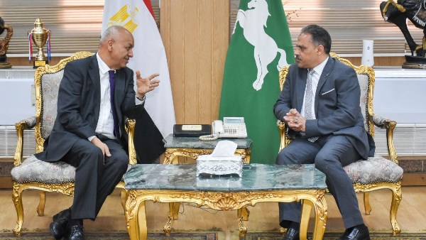 محافظ الشرقية