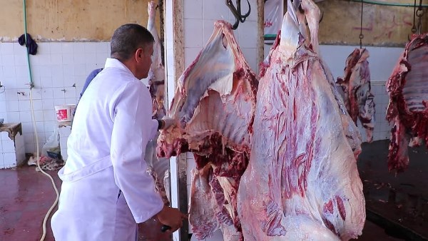 مج.ازر كفر الشيخ 
