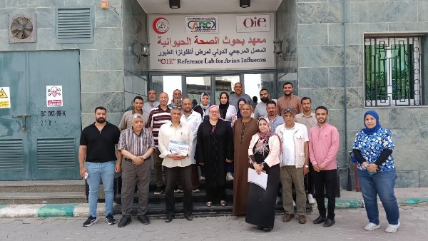 بحوث الصحة الحيوانية 