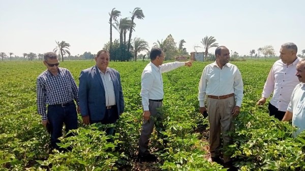 ندوات إرشادية 