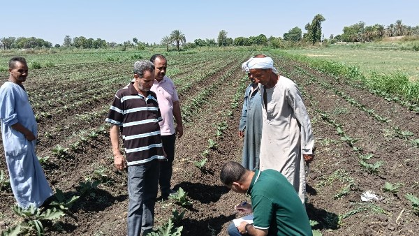 الإرشاد الزراعي 