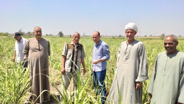 الإرشاد الزراعي