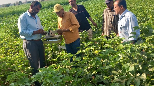 المركزية لمكافحة الآفات تنهي أعمال حملة مكافحة القوارض