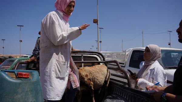 بحوث الصحراء 