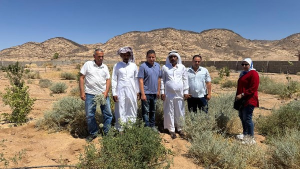 بحوث الصحراء