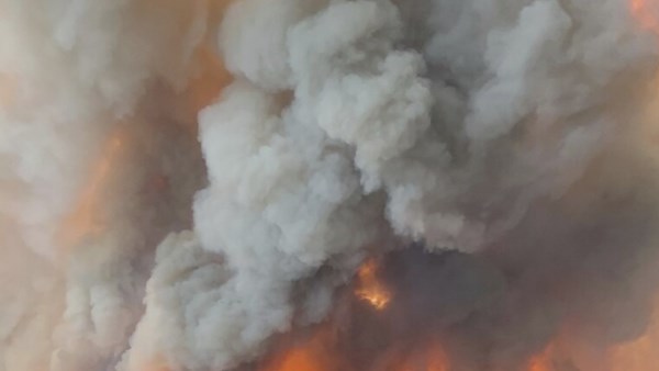 كندا تجلي 25 ألف شخص بسبب حرائق الغابات.. وتأثيرات الدخان يمتد لأمريكا