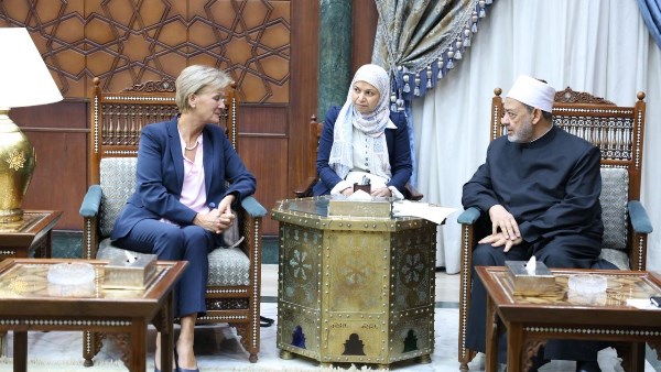 شيخ الأزهر لسفيرة الاتحاد الأوروبي : ما يحدث في غزة إبادة جماعية