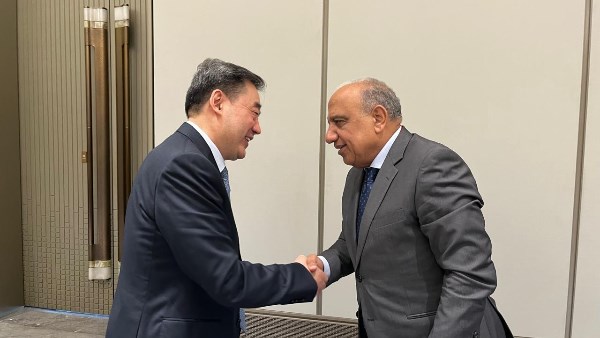 وزير الكهرباء ورئيس هيئة الطاقة الصينية