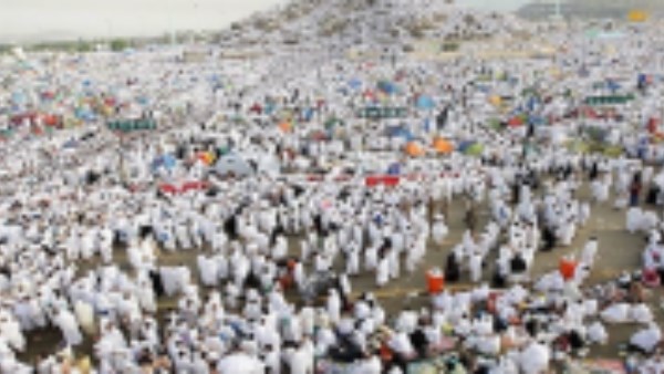 الحجاج 