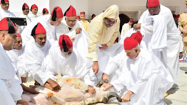 لأول مرة .. المغرب يُلغي شعيرة الأضحية وسط إقبال على اللحوم البيضاء والديك الرومي