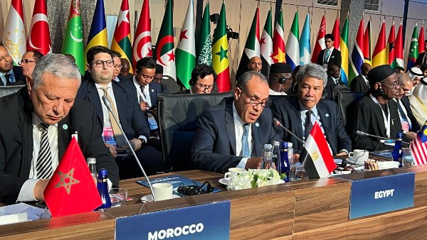 وزير الخارجية المصري أمام الاجتماع الطارئ لمنظمة التعاون الإسلامي بإسطنبول بشأن العدوان الإسرائيلي على إيران