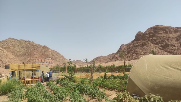 مزرعة طبيعية وسط الجبال 