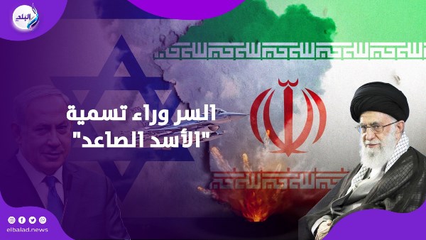 سر تسمية الضربات الإسرائيلية بـ "الأسد الصاعد" وعلاقتها بالتوراة