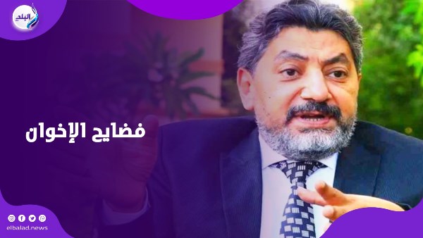 حسام الغمرى