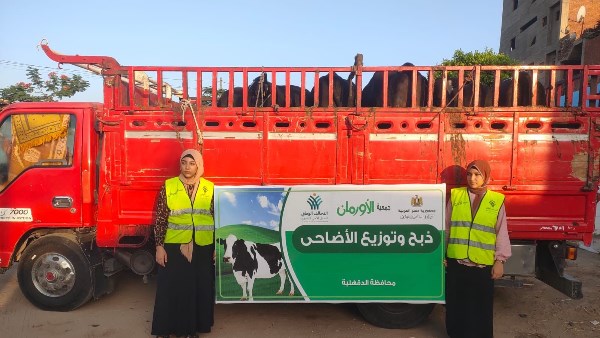 عجول بلدية وألف طن لحوم مستوردة.. الأورمان توزع الأضاحي على الفقراء لعام 2025
