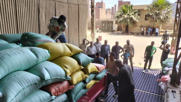 توريد 271 ألف طن قمح  بمراكز التوريد والتخزين في الدقهلية