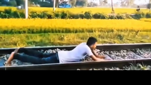 فيديو متداول