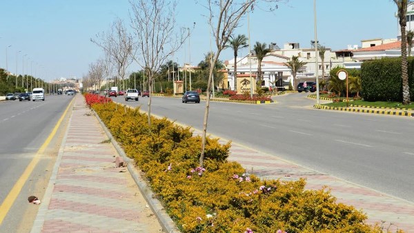 أرشيفية