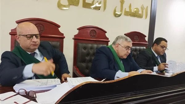 إحالة أوراق «بعرور» في البحيرة للمفتي بتهمة هتك عرض صغار بالقوة